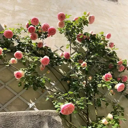 Villa La Demeure Provençale Au Charme Suranné