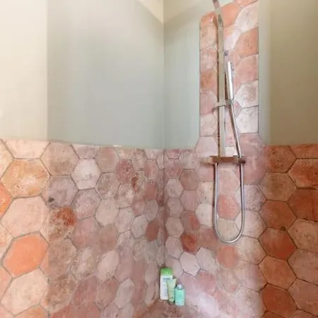 ヴィラ La Demeure Provencale Au Charme Suranne *